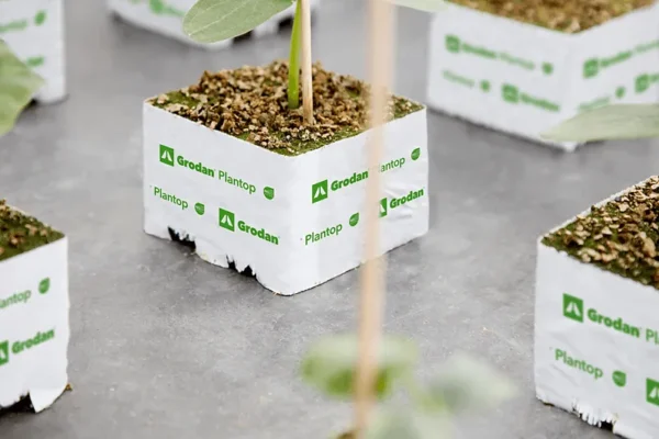 20190430 GR PHO 260 (4) مكعب Grodan بلانتوب NG2.0