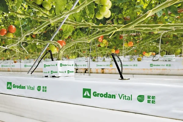 Grodan فايتل NG2.0