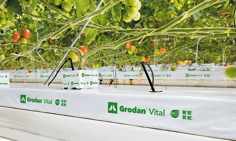 Grodan Vital NG2.0