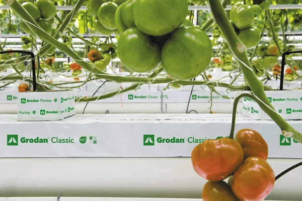GRODAN191970 Grodan Classic_300dpi_360x240mm_newlogo Grodan كلاسيك NG2.0