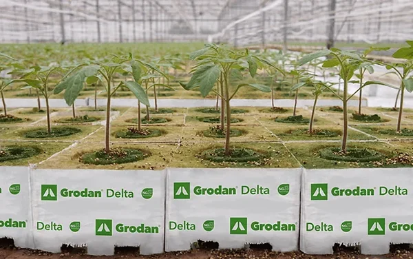 Grodan Delta NG2.0 Block -1