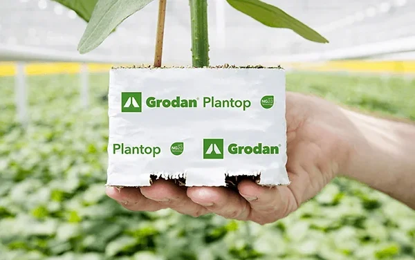 مكعب Grodan بلانتوب NG2.0