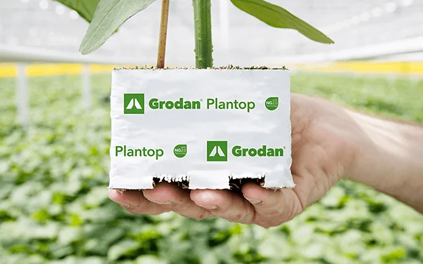 Grodan Plantop NG2.0 Block