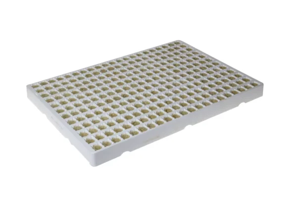 Grodan Plantop NG2.0 Plug
