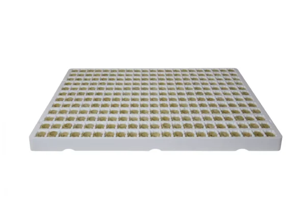 Grodan Plantop NG2.0 Plug